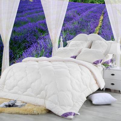 SofiDeMarko Lavender  155210